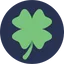 Lucky Store