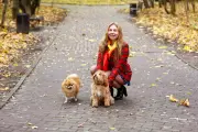 შინაური ცხოველებისთვის